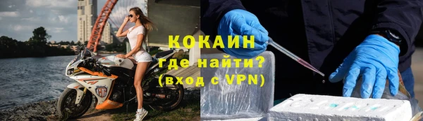 шишки Арсеньев