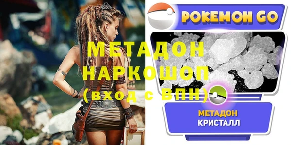 шишки Арсеньев